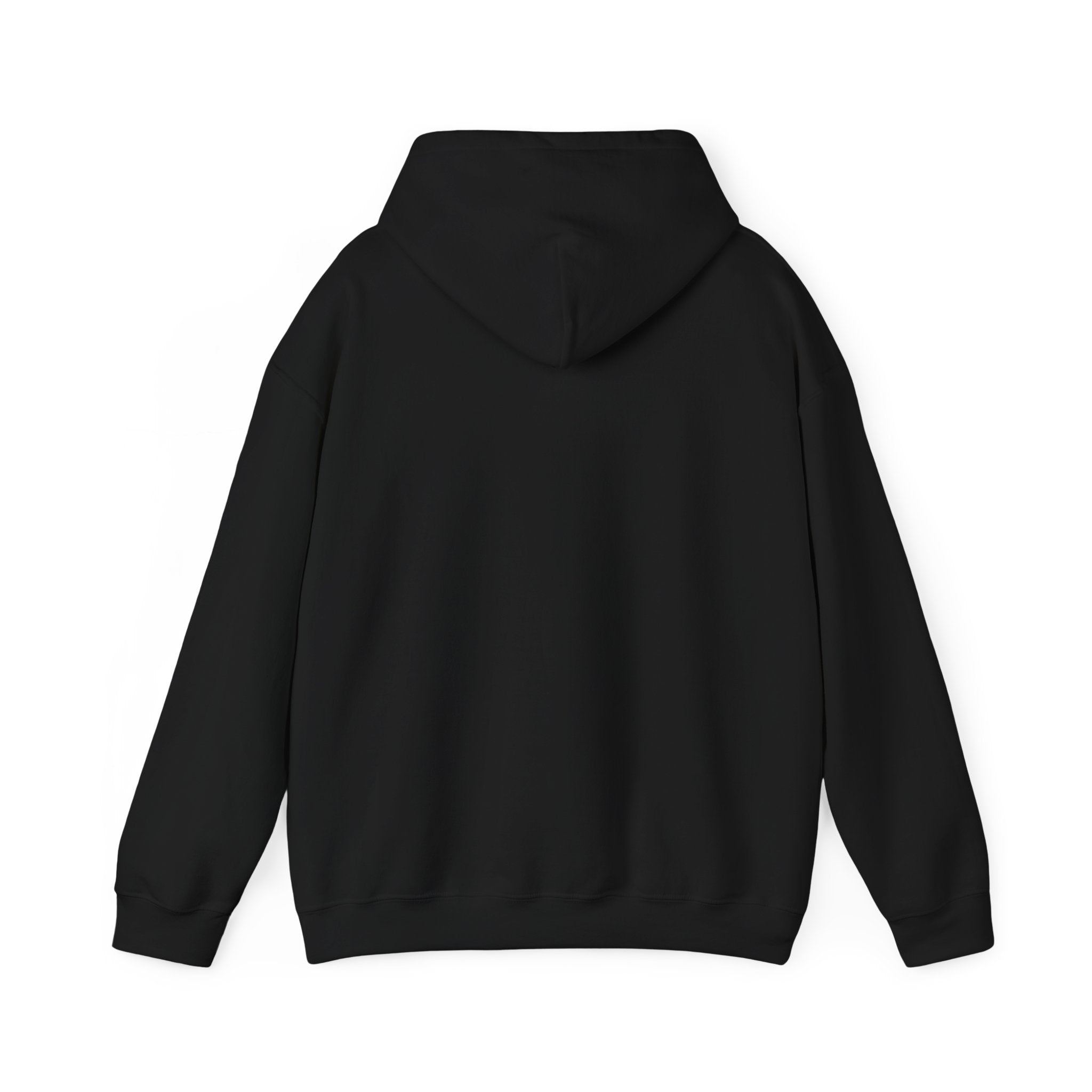 Wild Child Hoodie — Retro Sun Graphic Pullover